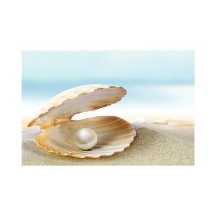 Shell With A Pearl by Depositphotos - Wrapped Canvas Photograph