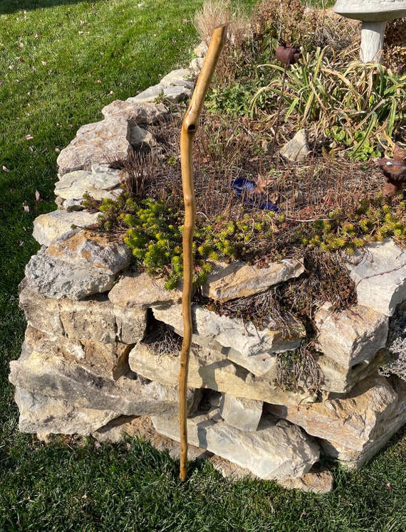 Walking Stick #600 Basic Stick With Natural Grip - Etsy
