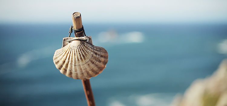 HOW TO: MAKE YOUR OWN CAMINO BACKPACK SHELL | One Step Then Another