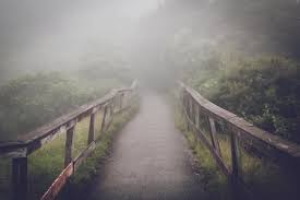 Hiking path fading into mist