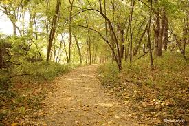 Is the Schramm Park suspension bridge trail a challenging walk?