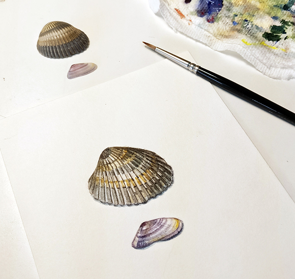 the cassandra pages: A beach of shells