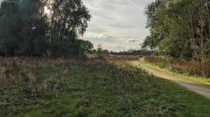 Barlow Common | YWT