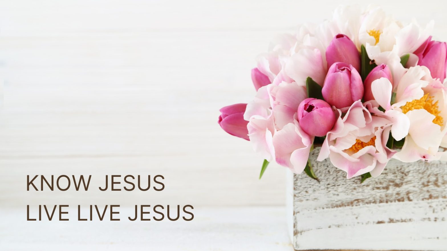 Know Jesus. Live Like Jesus