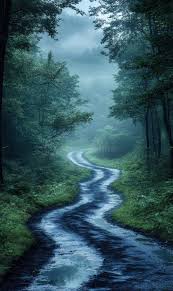 Serene Misty Landscape Trees Winding ...