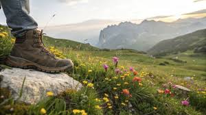 Hiking Boots Flowers Stock ...