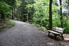 27+ Thousand Bench On Trail Royalty ...