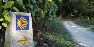 The Scallop Shell: A Symbol of the Camino