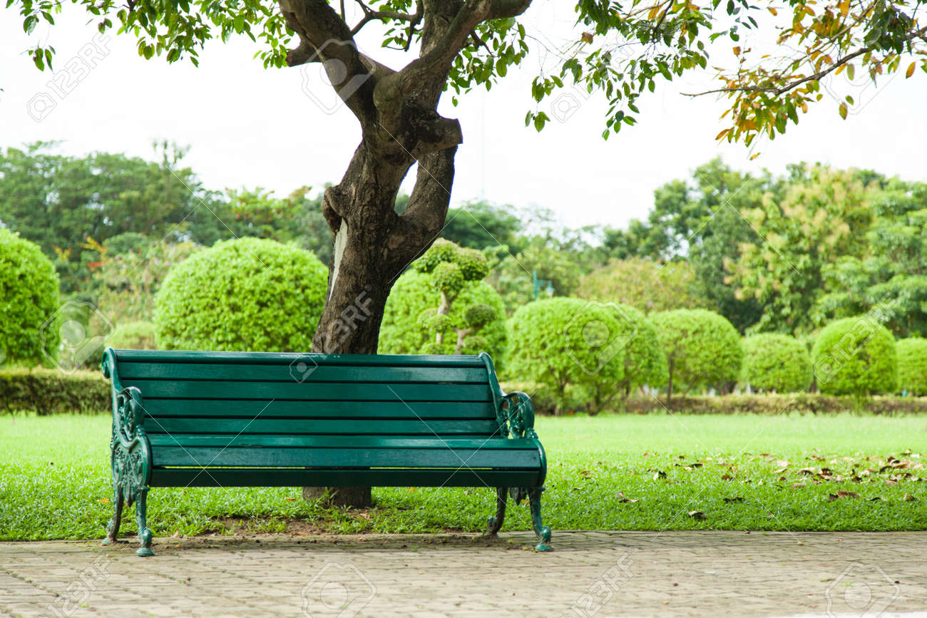 Bench under a tree. A seat to rest. Along the corridor. Within the park. - 16211396